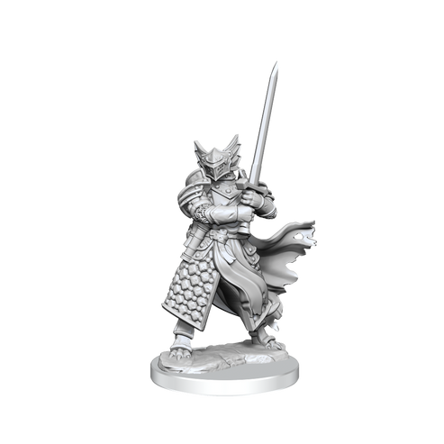 D&D Frameworks Miniatures