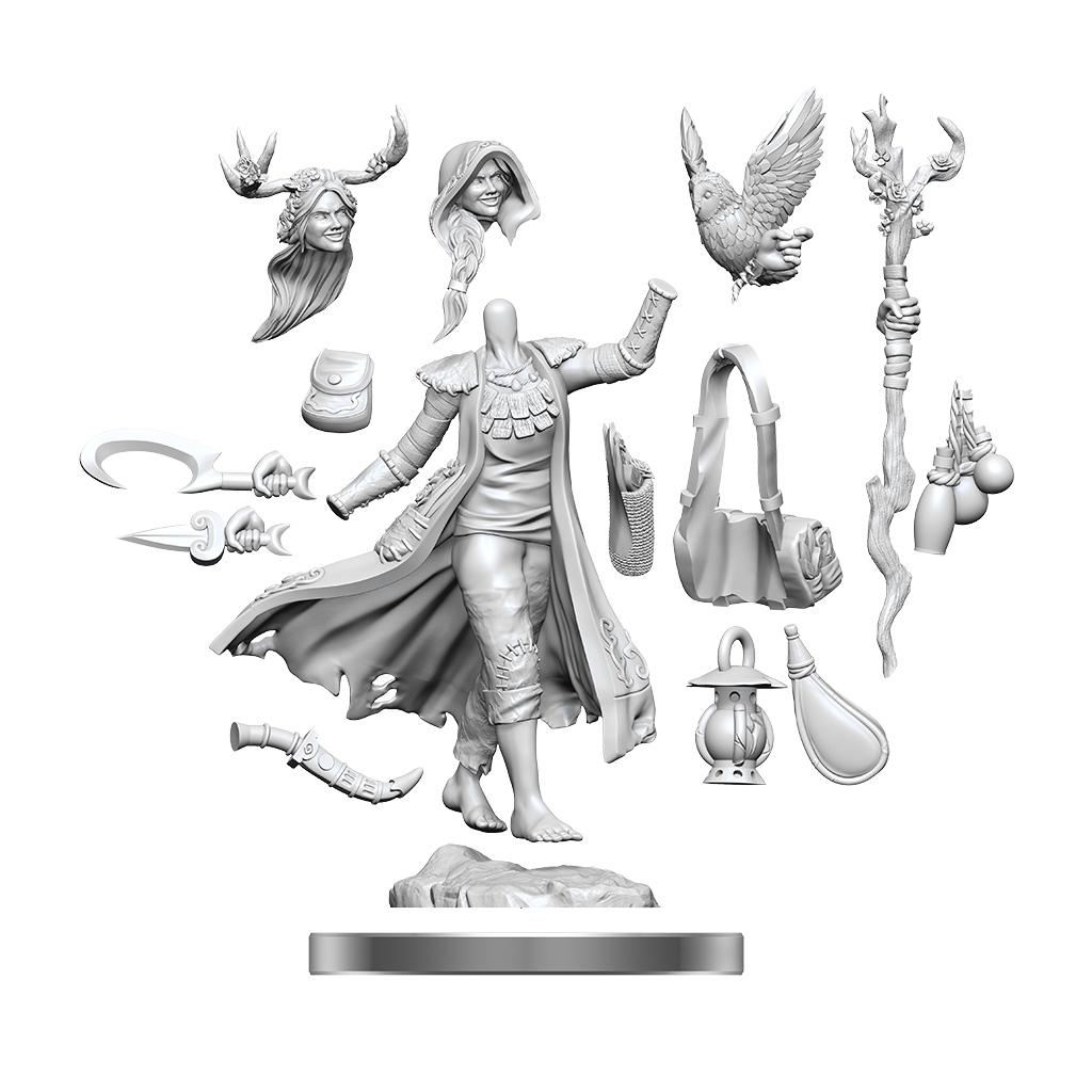 D&D Frameworks Miniatures