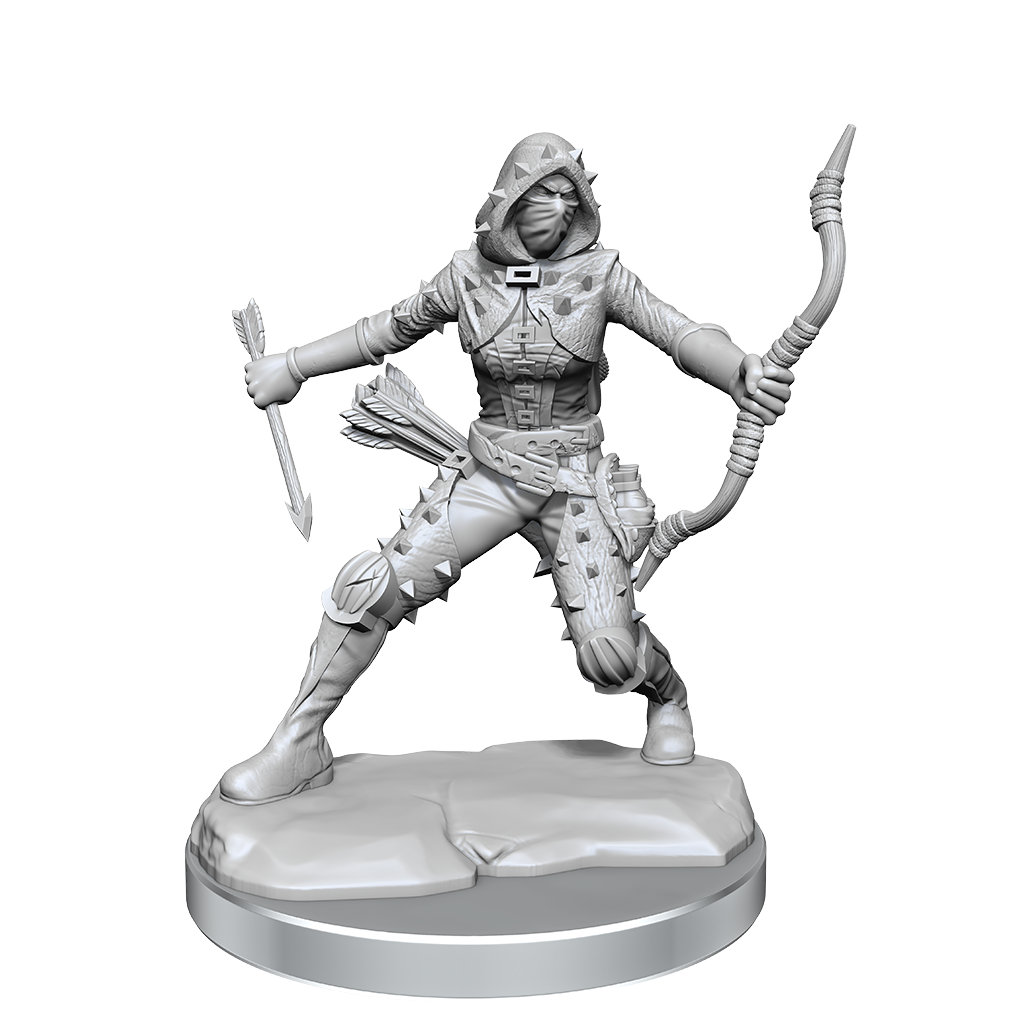 D&D Frameworks Miniatures
