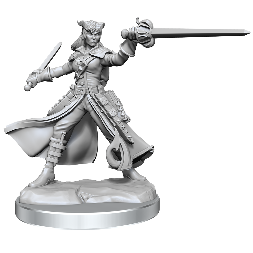 D&D Frameworks Miniatures