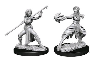 D&D Nolzurs Marvelous Unpainted Miniatures Female Half-Elf Monk